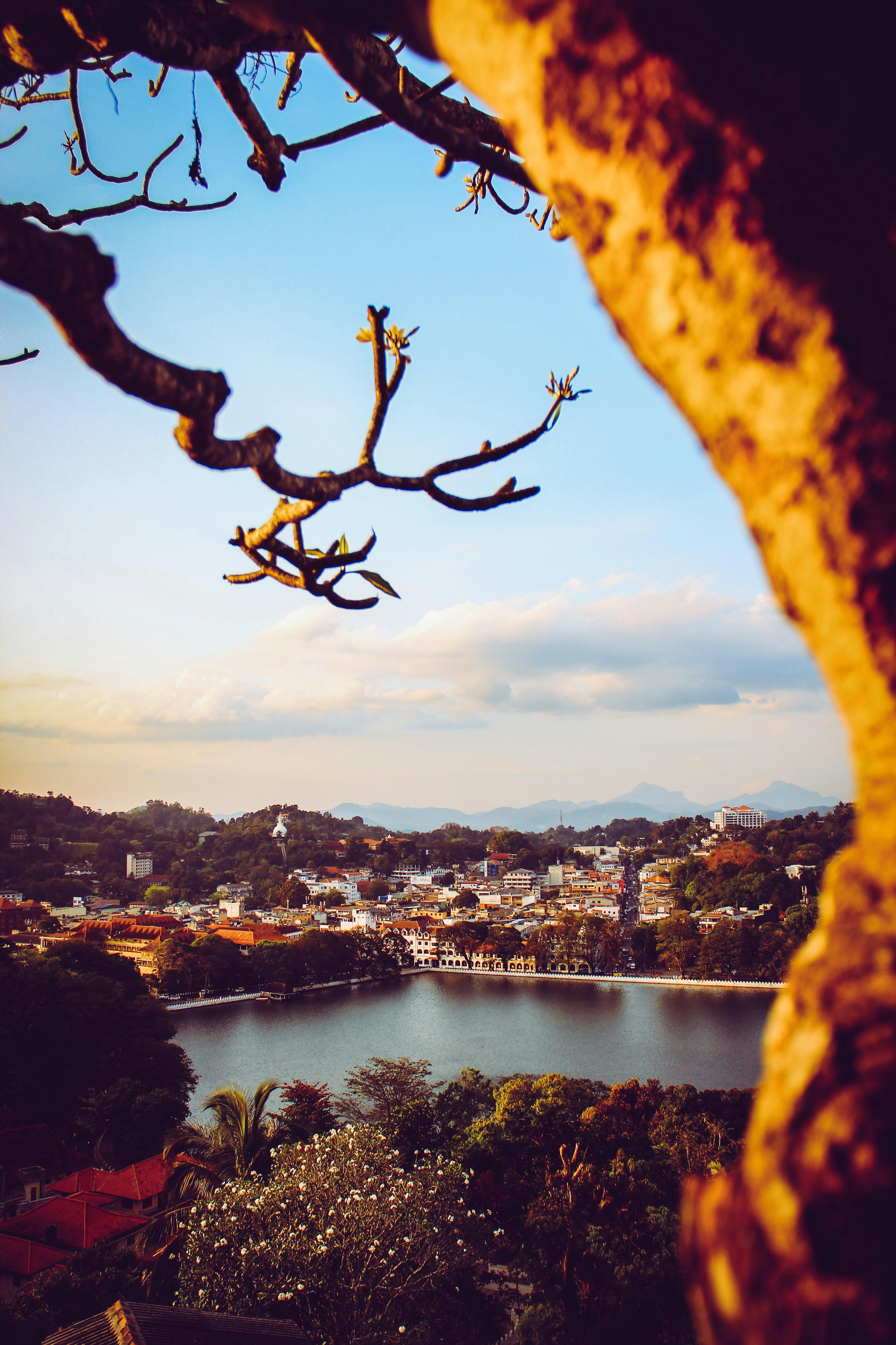 Kandy Royal City