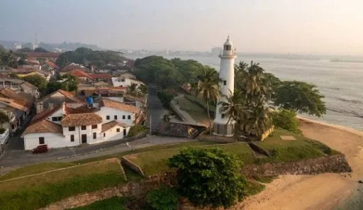 Whale Watching Adventure